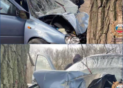 Пожилой водитель погиб, врезавшись в дерево в Ростовской области 