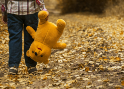 В Ростовской области ребенок выстрелил в своего брата