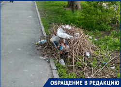 «Уже две недели валяется мусор после субботника»: ростовчанка возмущена свалкой во дворе