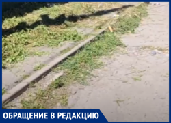 Хотели как лучше: в Ростове после покоса травы тротуар стал непроходимым