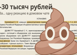 Ростовчанина оштрафовали на 30 тысяч за реакцию «какашки» в домовом чате