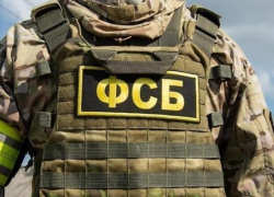 Жителя Ростова заподозрили в попытке совершить госизмену