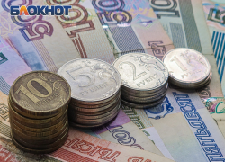 Благосостояние донских семей с двумя детьми упало на 40% за год