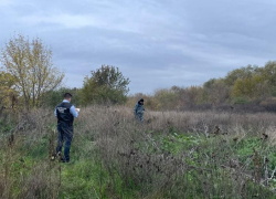 На Дону подросток уже год ждет суда за жестокое убийство 12-летней сестры