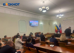 Общественники Ростова недовольны новым проектом «Дружба» и просят его переделать