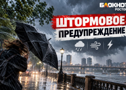 Ливень, гроза и град обрушатся на Ростовскую область, ветер будет до 28 метров в секунду