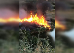 В Ростове снова горит камыш