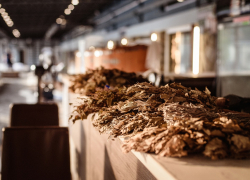 «С банями и бассейнами»: отдохнуть в День труда приглашает ростовчан СПА-клуб «Сити Крик»