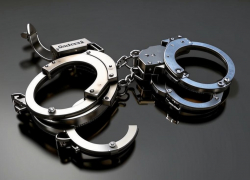 В Ростовской области осудят дебошира, который повалил полицейского на землю и избил 