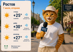 Погода в Ростове-на-Дону 7 июля: солнце весь день и жара до +30