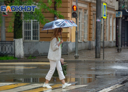 Ростовскую область на три дня накроют ливни и сильный ветер 