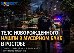 В мусорном баке на Орбитальной в Ростове нашли труп новорожденного ребенка