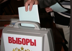 В дополнительных выборах в думу Батайска победителем признан единоросс