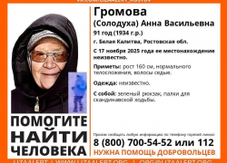 В Ростовской области уже пятый день ищут пропавшую 91-летнюю бабушку 