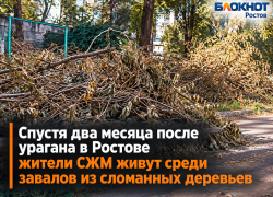 Спустя два месяца после урагана в Ростове жители СЖМ живут среди завалов из сломанных деревьев