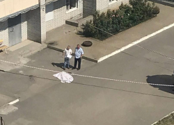 В Ростове разбилась школьница, выпав с девятого этажа