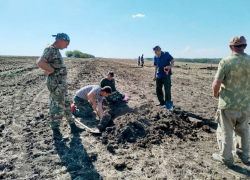 Останки четырех красноармейцев обнаружили во время экспедиции в Ростовской области