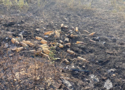 Крупный ландшафтный пожар в Ростовской области произошел из-за «эффекта линзы»