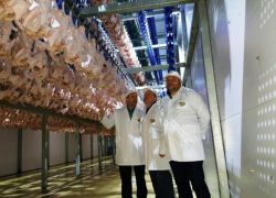 50 магазинов по продаже мяса индейки и утки откроют в Ростове