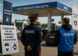 В Ростовской области отменят штрафы для водителей, стоящих в очередях за бензином