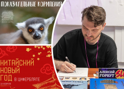 Любуемся на кошачьих лемуров, изучаем «Золотой век» комикса и празднуем Новый год: куда пойти в Ростове на этой неделе