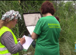 На угольной шахте Ростовской области нашли сразу 18 серьезных нарушений 
