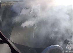 В Каменском районе потушили крупный ландшафтный пожар на площади 25 Га