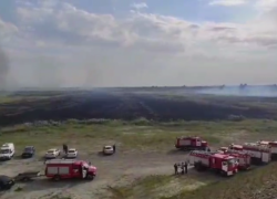 В Ростовской области ликвидирован лесной пожар площадью 9 гектаров