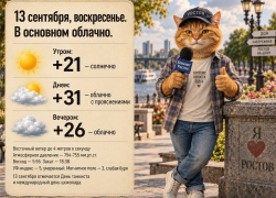 До +31 прогреется воздух в Ростове 13 сентября