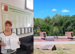 Ростовские активисты подали обращения в защиту Кумженской рощи в приемную президента РФ