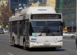 В Ростове общественный транспорт переведут на брутто-контракты после 2027 года 