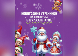 УСЛУГА ДНЯ: Новогодний утренник для всей семьи в Вулкан Парке