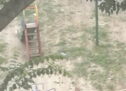 Громадное дерево рухнуло на детскую площадку в Ростове-на-Дону