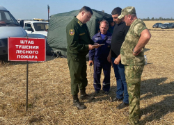 В районе Ростовской области ввели режим ЧС из-за крупного лесного пожара