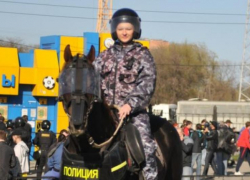 В Ростовской области планируют возродить конную полицию
