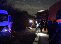 Два человека погибли в ДТП с микроавтобусом в Ростовской области