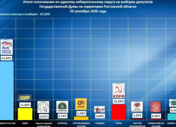 В Ростовской области подвели итоги трехдневных выборов