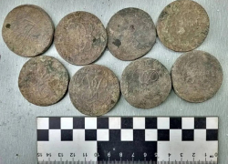 В Старочеркасской нашли старинные монеты XVIII века