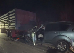 Женщина погибла в ДТП с грузовиком в Ростовской области 