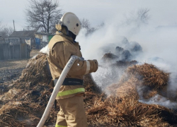 В Ростовской области запретили разжигать костры и сжигать мусор с 28 апреля 