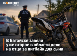 В Батайске завели уже второе в области дело на отца за питбайк для сына