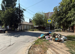 Жители Западного пожаловались на антисанитарию из-за отсутствия мусорных контейнеров