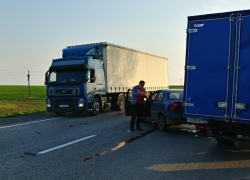 Злая собака едва не угробила водителей двух автомобилей, устроив ДТП под Ростовом