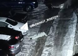 В Батайске нашли три загадочных трупа на одном участке за несколько месяцев