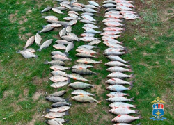 В Ростовской области задержан браконьер с запрещенными орудиями лова