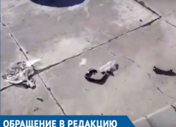 «Вот оно - истинное отношение властей к истории»: горожан возмутил мусор возле стелы освободителям Ростова