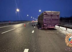 Смертельная авария на М-4 «Дон»: под колесами грузовика погиб водитель фуры, когда менял колесо