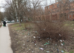 В Ростове пожаловались на стихийную свалку и нехватку урн
