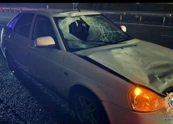 Молодой водитель насмерть сбил пожилого пешехода в Ростовской области