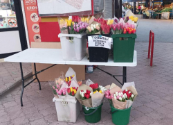 До 45 тысяч рублей за букет: в Ростове изучили цены на цветы перед 8 Марта
